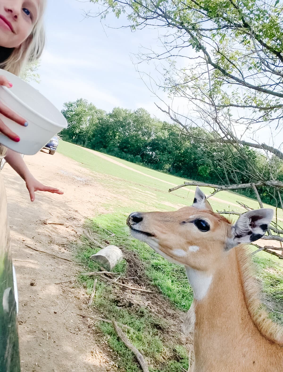 KidFriendly Things To Do In Lake Geneva Wisconsin Hope And Hedges