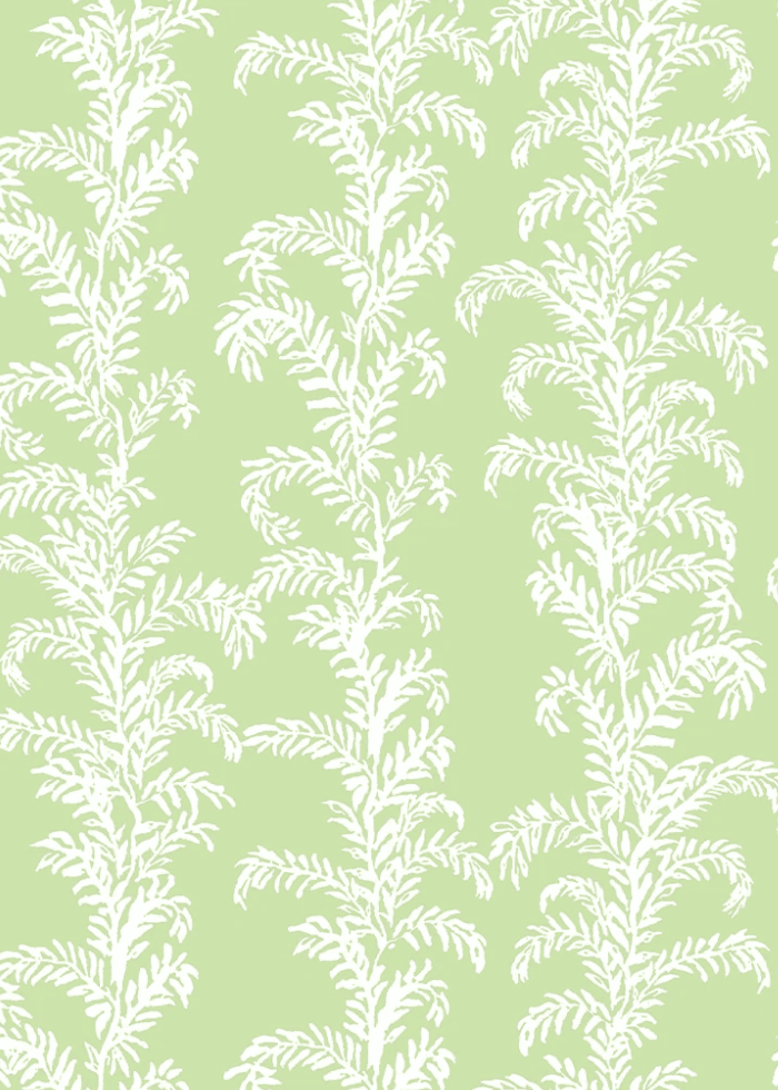 Palm Beach, Green, Chasing Paper