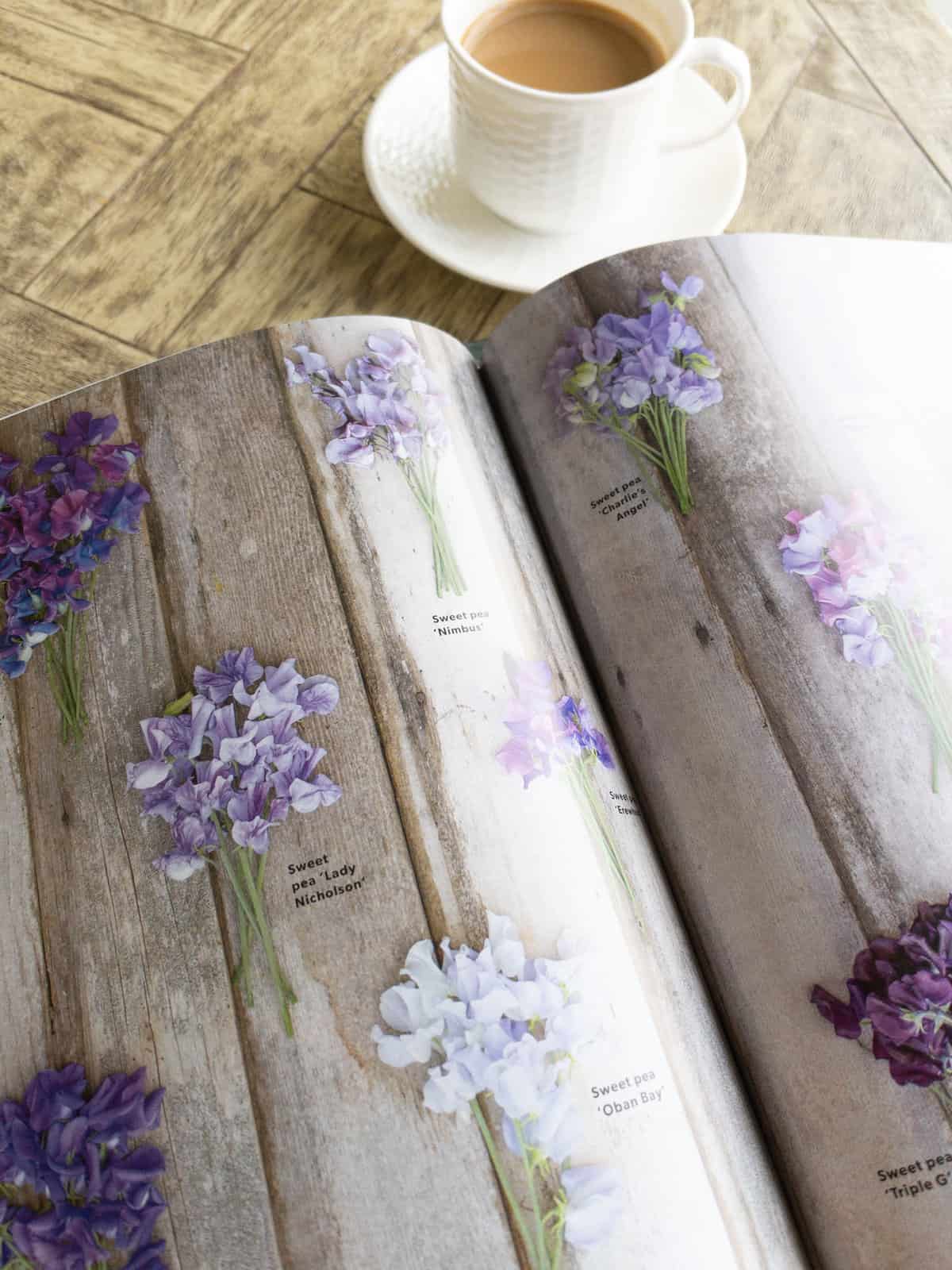 23 Beautiful Coffee Table Books Inspired By The Garden | Hope And Hedges