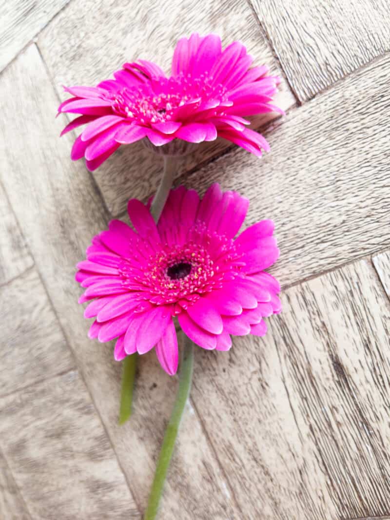 Simple Flower Arranging Tips From A Pro Floral Designer | Hope And Hedges