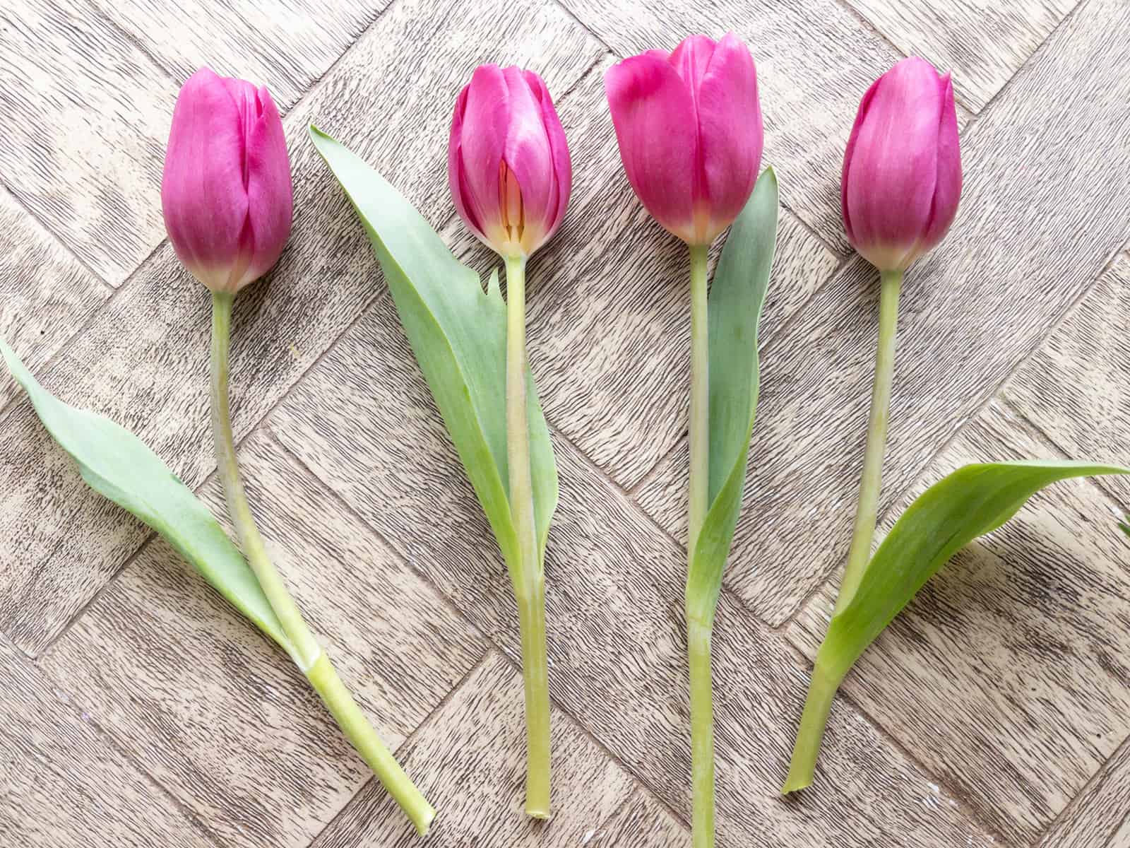 Simple Flower Arranging Tips From A Pro Floral Designer | Hope And Hedges