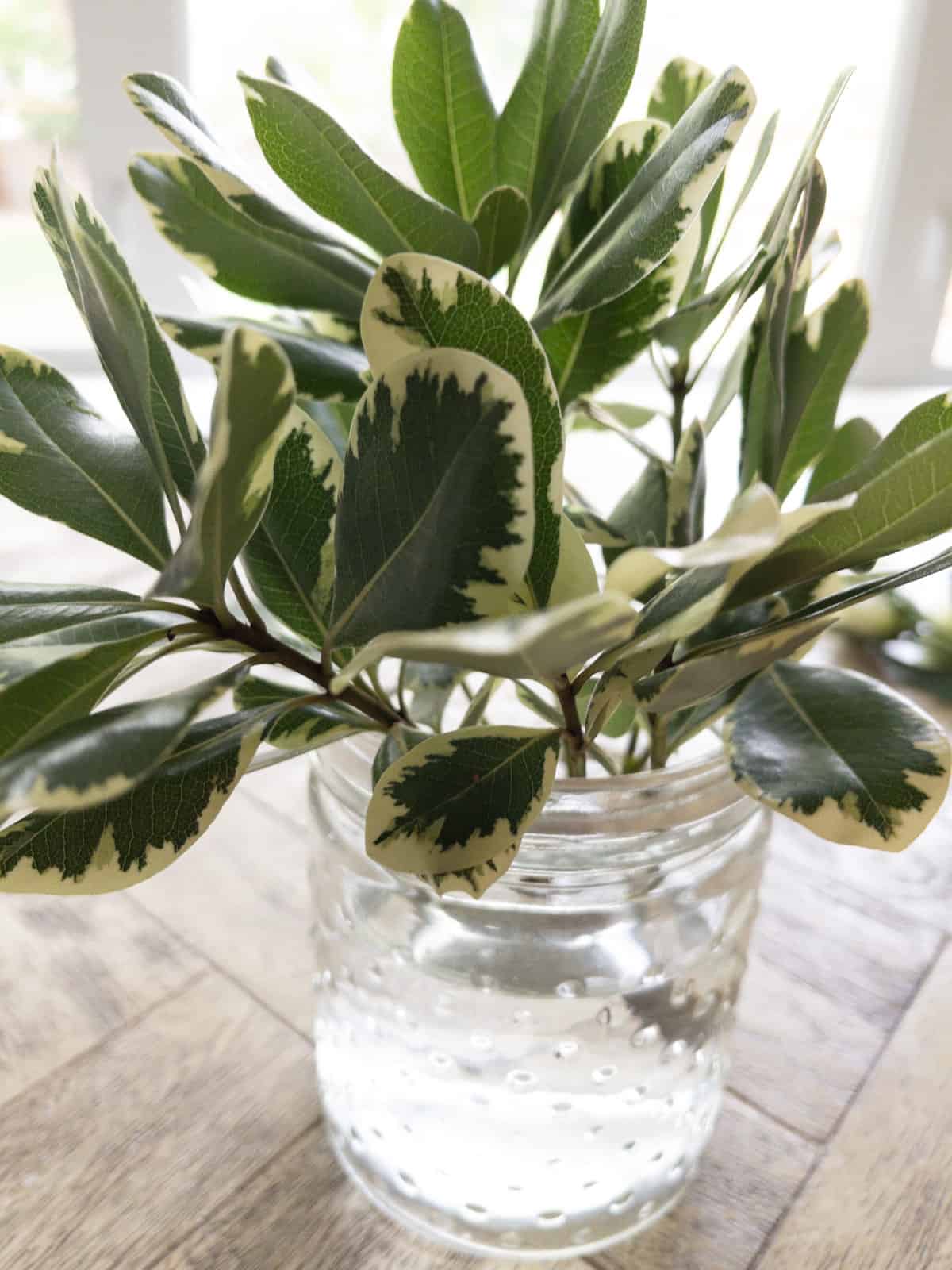 Simple Flower Arranging Tips From A Pro Floral Designer | Hope And Hedges