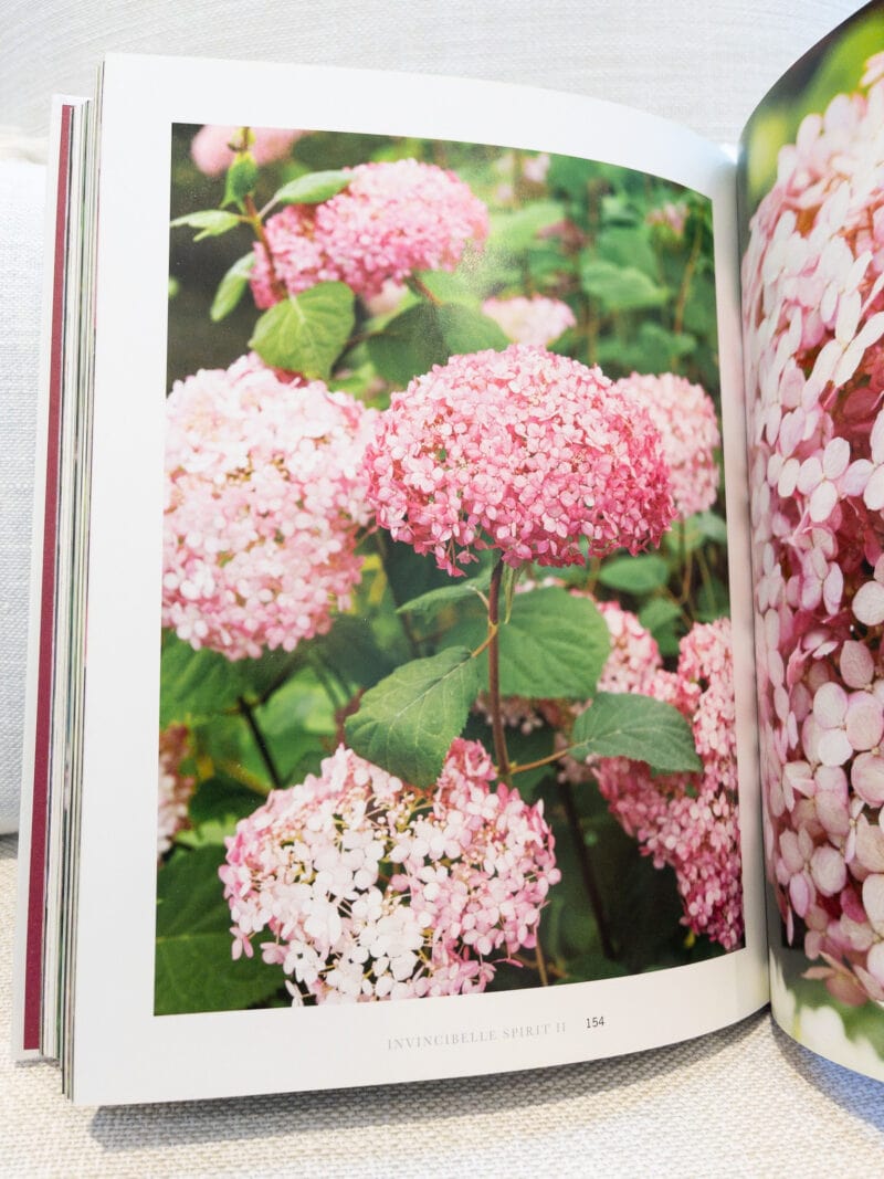 9 Best Hydrangea Books | Hope And Hedges