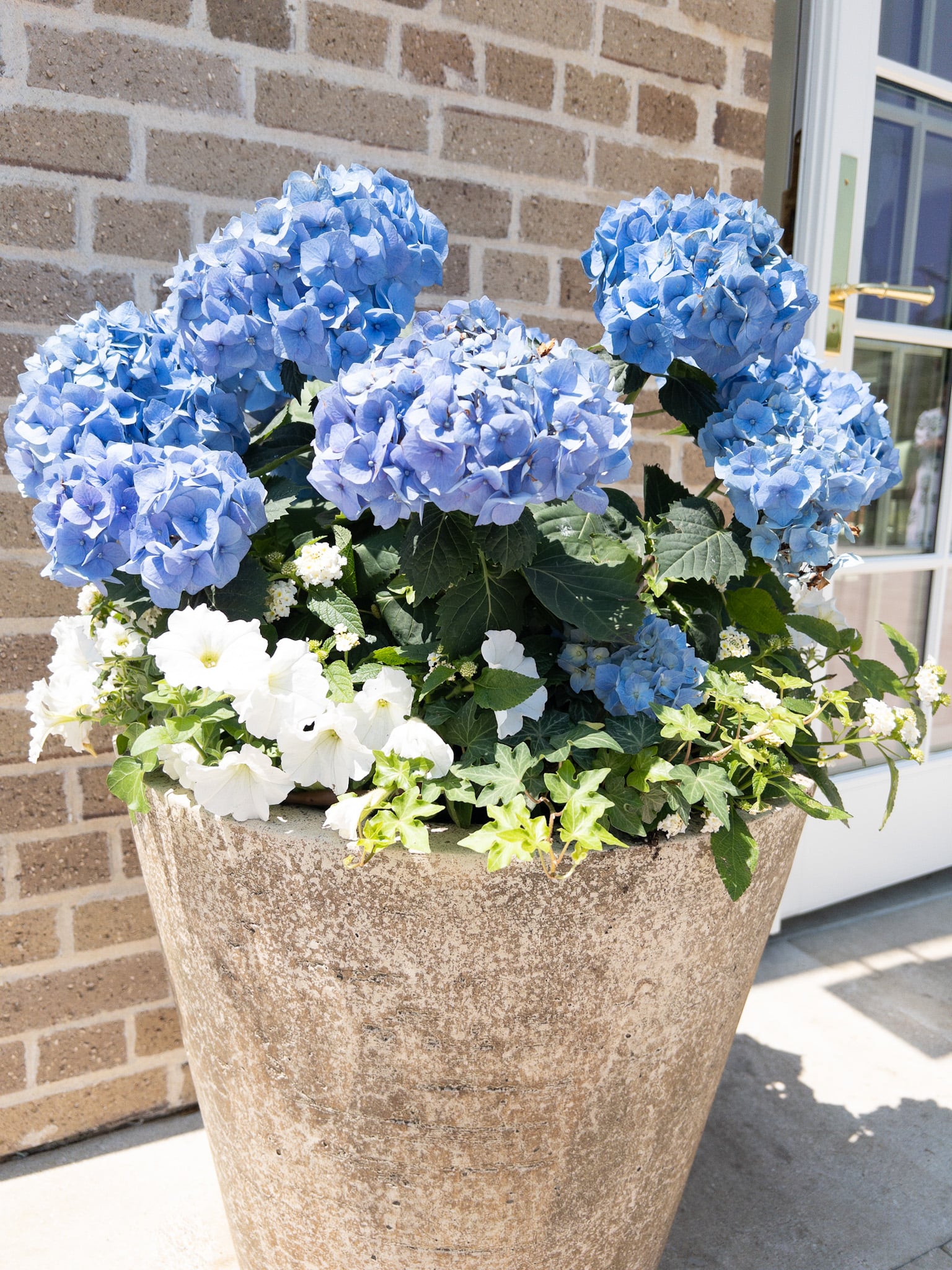 8 Summer Planter Ideas That Are Simply Stunning | Hope And Hedges