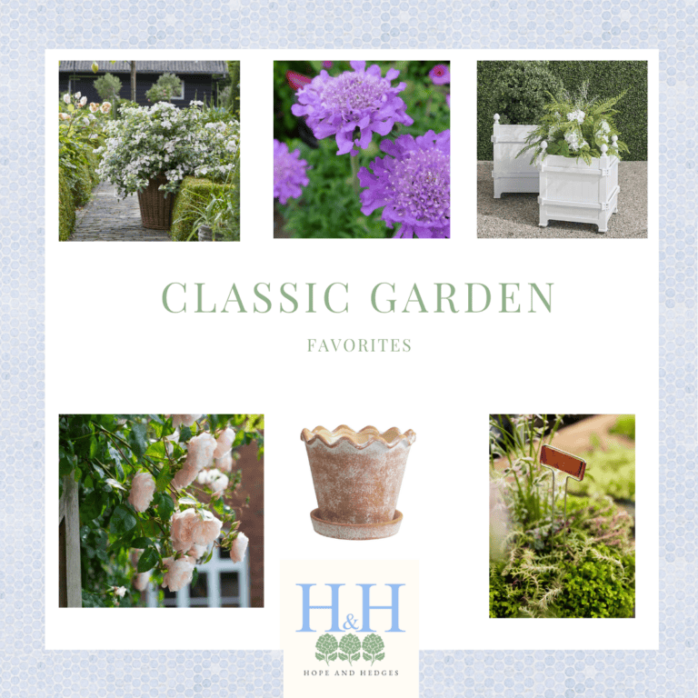 favorite classic garden finds