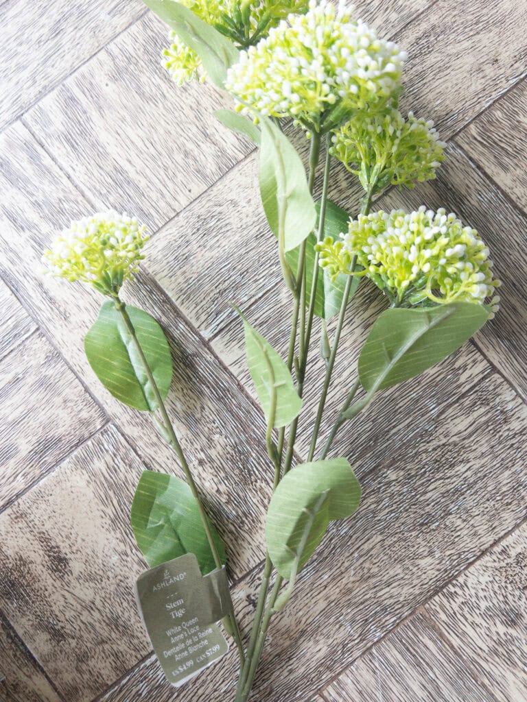 faux queen annes lace